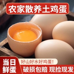 土鸡蛋50枚泡沫+新款纸箱